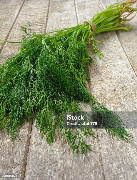 Dill Stock Photo - Download Image Now - 2015, Backgrounds, Bunch