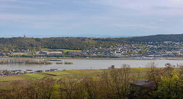 istock Rhine River in Wiesbaden 534051592
