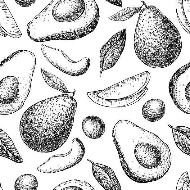 Vector hand drawn avocado seamless pattern. Vector hand drawn avocado seamless pattern. Whole avocado, sliced pieces, half, leafe and seed sketch. Tropical summer fruit engraved style background. Detailed food drawing. avocado stock illustrations