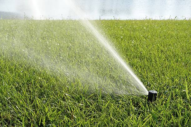 istock Lawn maintenance - watering the grass with sprinkler system 534053468