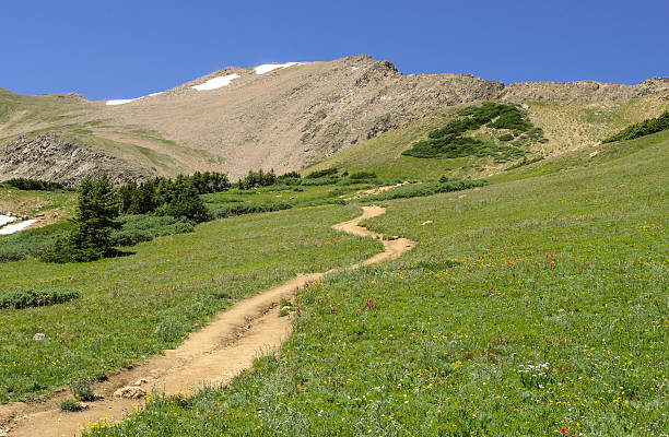 istock Rocky Mountain Alpine Trail 534053517