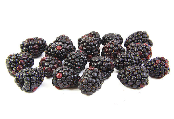 istock Bunch of blackberries on white background 534054729