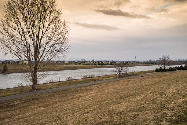 Dry riverbed of the Ishikari River Ishikari River , afternoon, asahikawa hokkaido japan , Early spring kamikawa district ishikari stock pictures, royalty-free photos & images