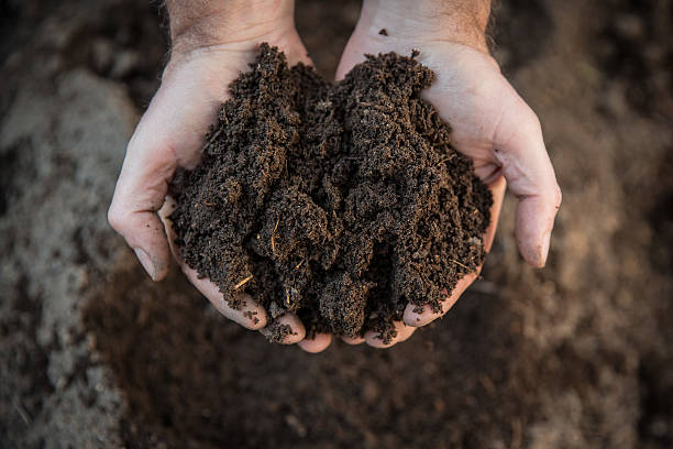 istock Hands holding soil in agricultural field 534056094
