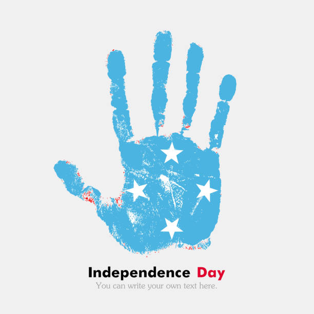 istock Handprint with the Flag of Micronesia in grunge style 534057358