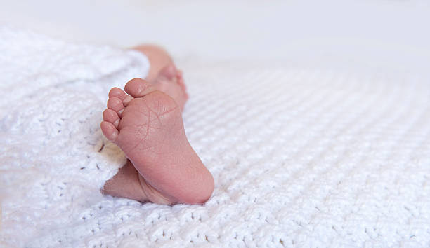 Baby feet wraped in a white blanket stock photo