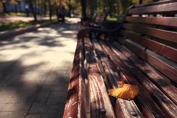 istock garden bench in autumn park landscape 534077733