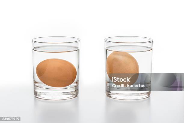 Test For Fresh And Rotten Eggs Stock Photo - Download Image Now - 2015, Agriculture, Animal Egg