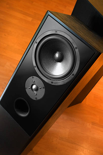 istock Black Column two way Hifi speakers bass menbrane 534081645