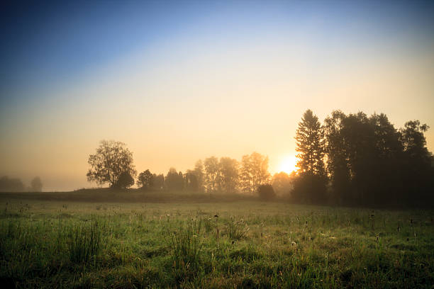 istock Sunrise at foggy meadow 534082215