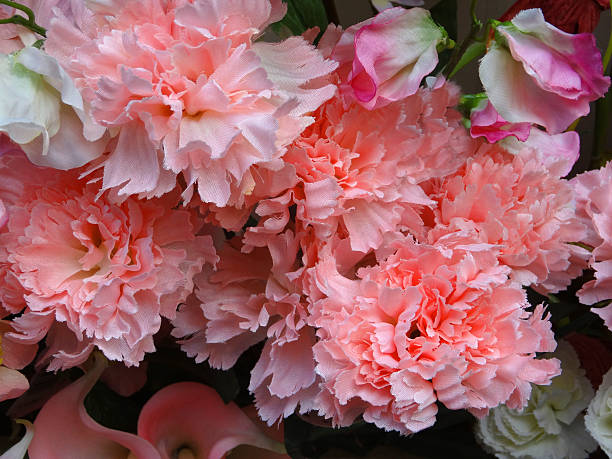 Photo showing a group of realistic plastic and silk pink spray carnations (dianthus caryophyllus).  These artificial daisy flowers are pictured grouped together and displayed in a vase.