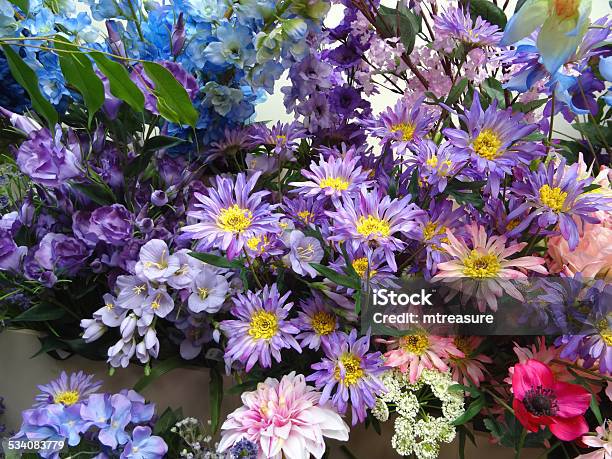 Plastic Silk Purple Pink Blue Daisies Artificial Aster Daisy Flowers Stock  Photo - Download Image Now - iStock