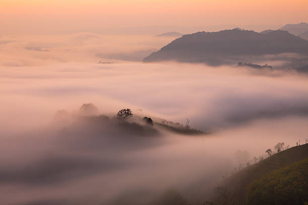 fog and mountain fog and mountain at Thailand nong khai province stock pictures, royalty-free photos & images