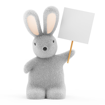 Easter Bunny with Blank Board isolated on white background