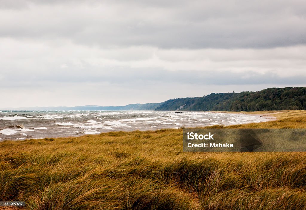 Stormy Lake Michigan A storm brewing over Lake Michigan with dark storm clouds and winds whipping up waves and blowing the grass. 2015 Stock Photo