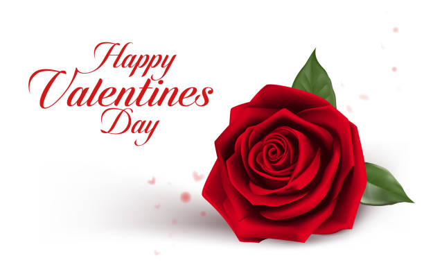 ilustrações de stock, clip art, desenhos animados e ícones de doce para namorados rosas vermelho do dia - flower white background single flower red