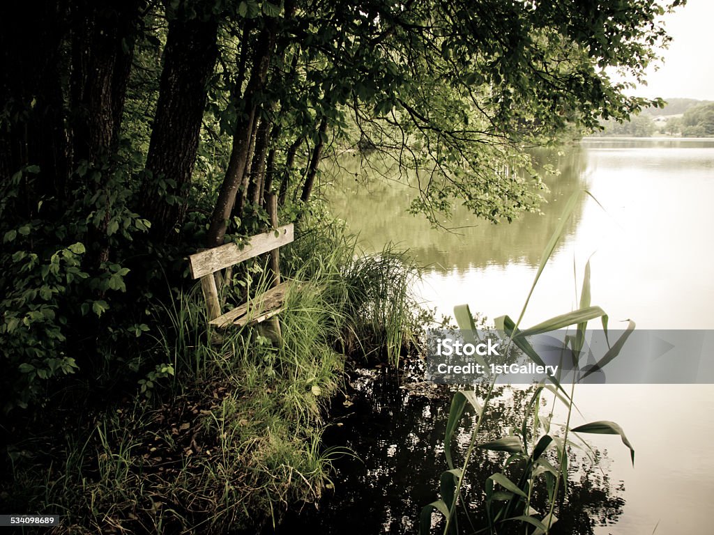 bench bench at a lake (24) 2015 Stock Photo