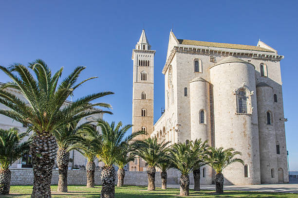 istock Cathedral of Trani with palm trees in front 534103093