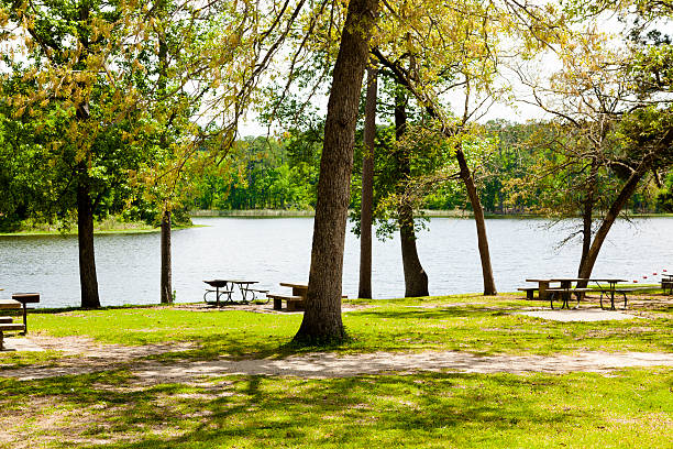 istock Spring trees surround a lake.  Park picnic tables at bank. 534103721