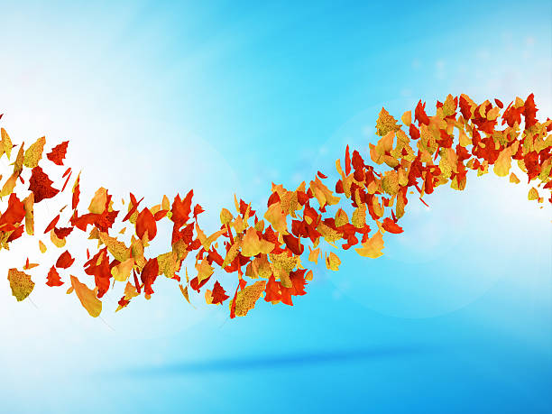 istock Wave from Autumn Leaves on blue background 534104015