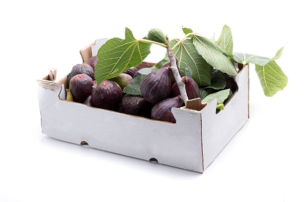 two kilogram fig stock photo