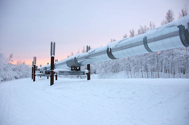 Trans Alaska Pipeline in Winter with Sunset stock photo