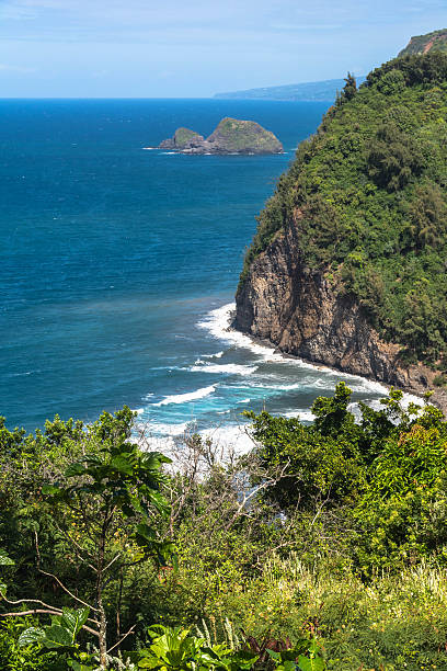 The coast of Pololu Valley, Big Island A view of the coast along Pololu Valley, Big Island pololu stock pictures, royalty-free photos & images
