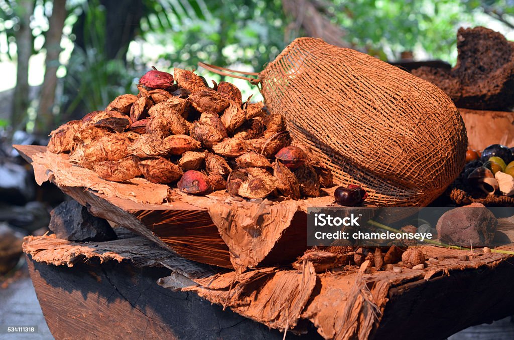 Collection of fruit and seeds food eaten by indigenous Austr Collection of fruit and seeds food eaten by the indigenous Australian Yirrganydji Aboriginal people from the rainforests of Queensland, Australia. Indigenous Culture Stock Photo