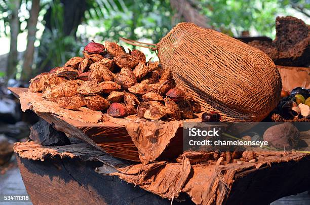 Collection Of Fruit And Seeds Food Eaten By Indigenous Austr Stock Photo - Download Image Now