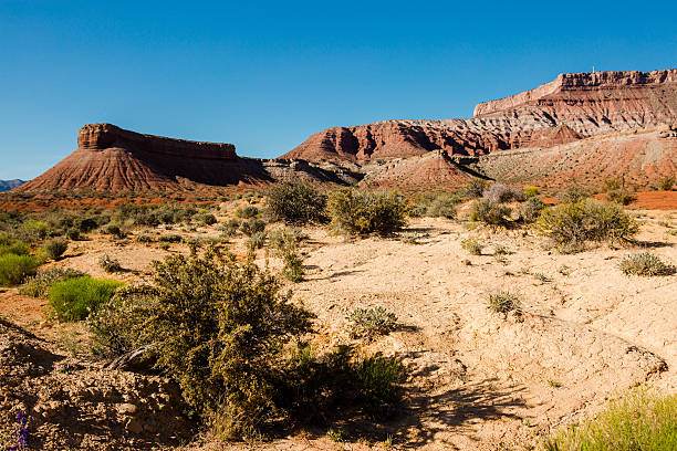 istock Utah High Desert Rock Formation Scene 534114228