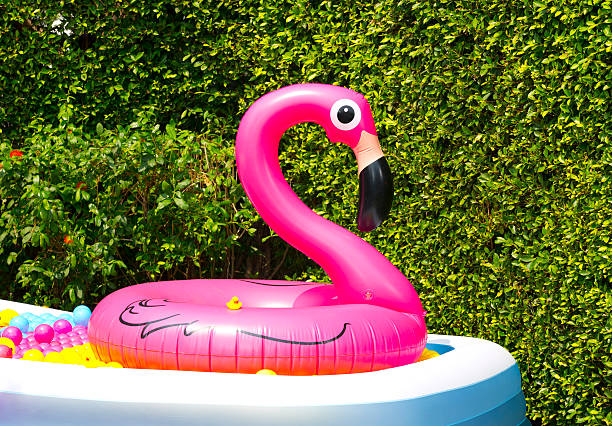 istock Inflatable pool with flamingo balloon in garden 534114332