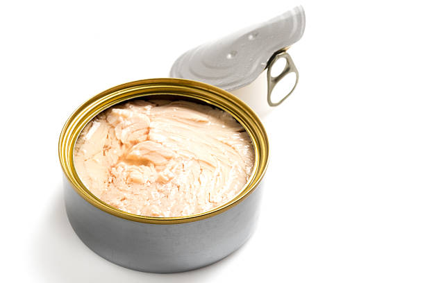 istock White meat tuna in water 534115672