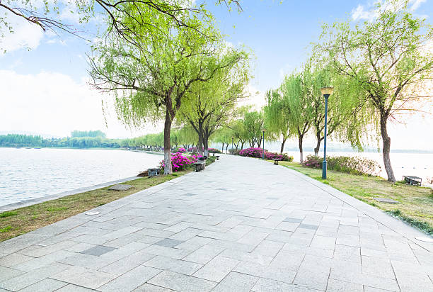 istock flagstone road in park 534116850