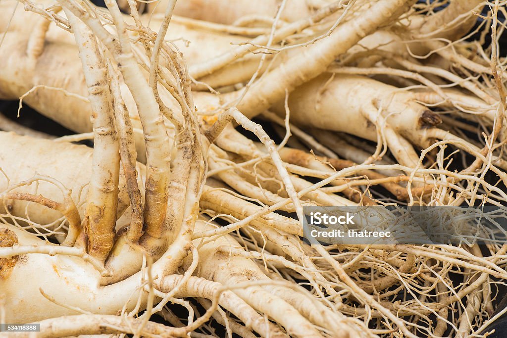 Dry Ginseng Roots. Close up of dry ginseng roots,selective focus with blur foreground and background. Agriculture Stock Photo