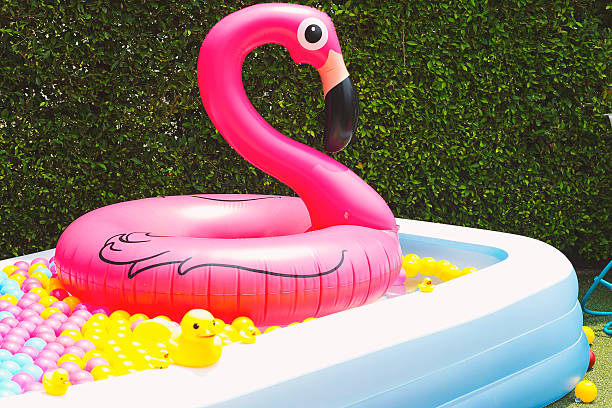 istock inflatable pool with flamingo balloon 534119848