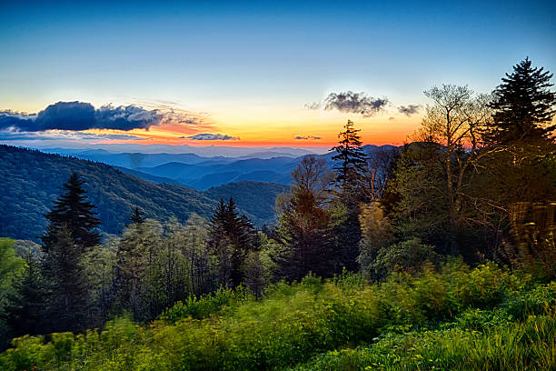 frühling am scenic blue ridge parkway appalachians smoky mount - wnc stock-fotos und bilder