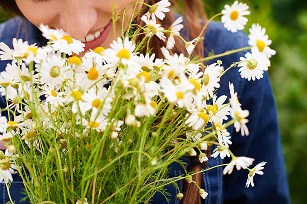 istock Bouquet of field daisies 534123656