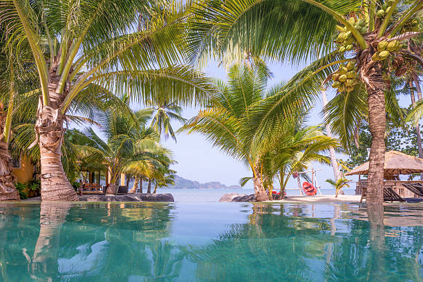 istock Swimming pool, Palm trees and the beach in front of. 534126504