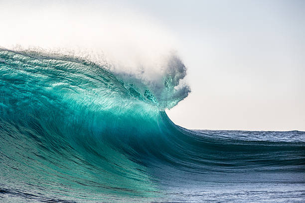 Building water A backlit lip of a large wave about to throw and break across the reef. tsunami wave stock pictures, royalty-free photos & images