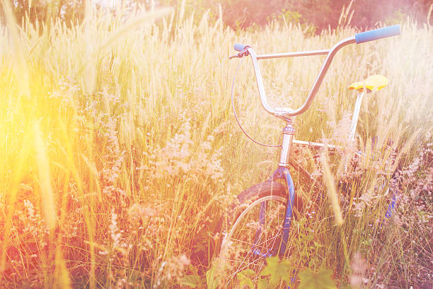 istock Bicycle in Summer grass field classic bicycle,old bicycle style. 534129258