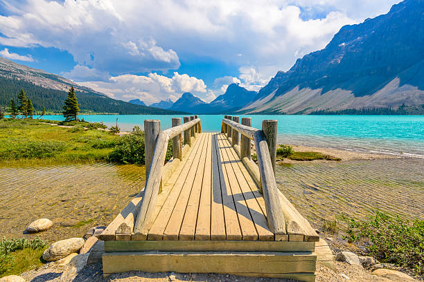 istock Bow Lake, Canadian Rockies 534130625