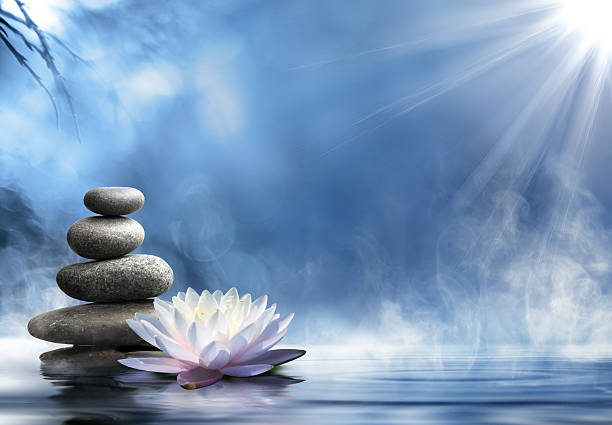 pureza de las piedras zen masaje en el agua - massage stones fotografías e imágenes de stock