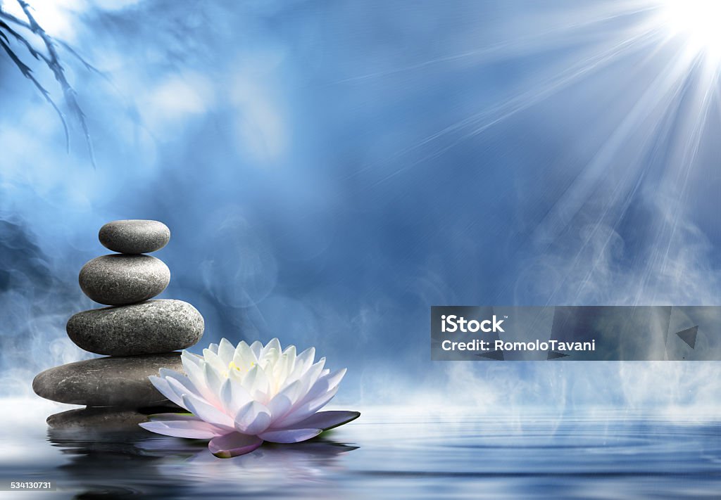 purity of the zen stones massage on water spa stones and waterlily on pond Zen-like Stock Photo