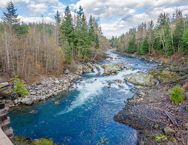istock Mountain River in British Columbia, Canada. 534132477