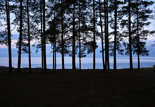 istock Night at the sea 534132729