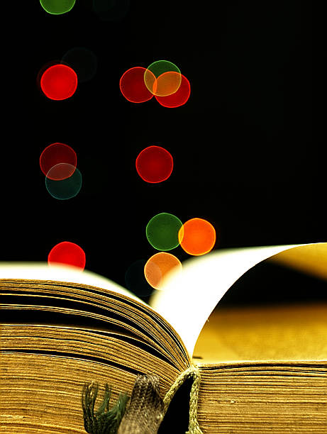 istock Old, open book with a damaged cover. 534133901
