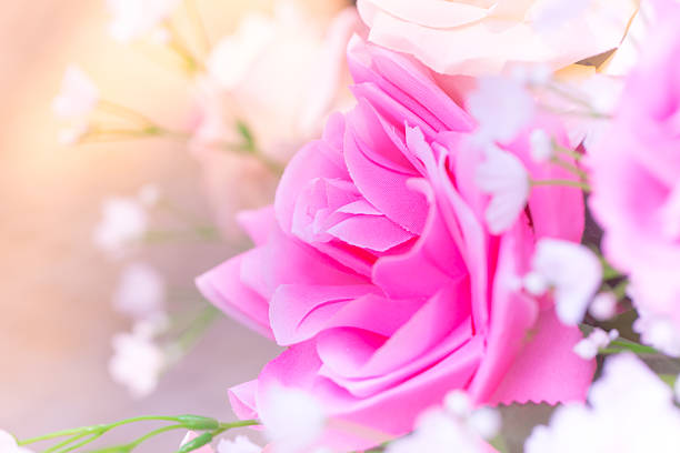 istock close up pink rose sweet love concept. 534134422