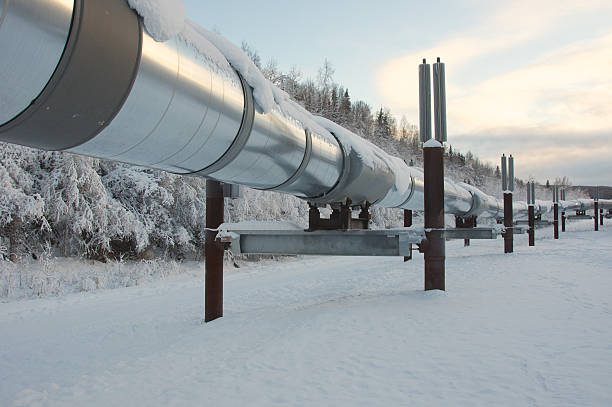 istock Trans Alaska Pipeline in Winter 534135061