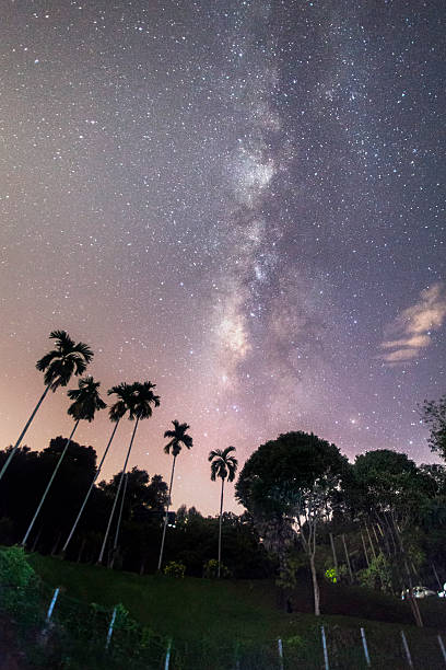 istock Milky way Galaxy on top trees in Penang, Malaysia 534135746