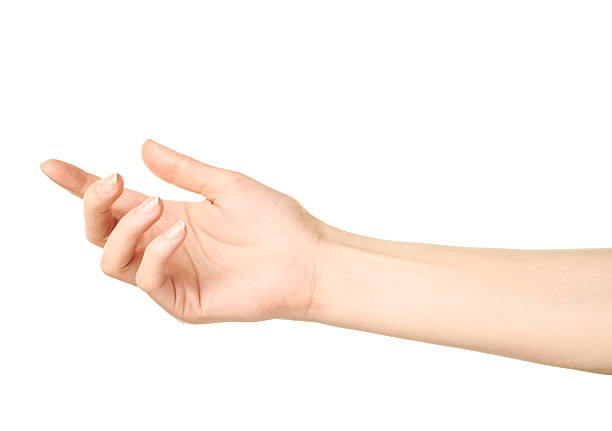 istock Female caucasian hand gesture isolated 534136042